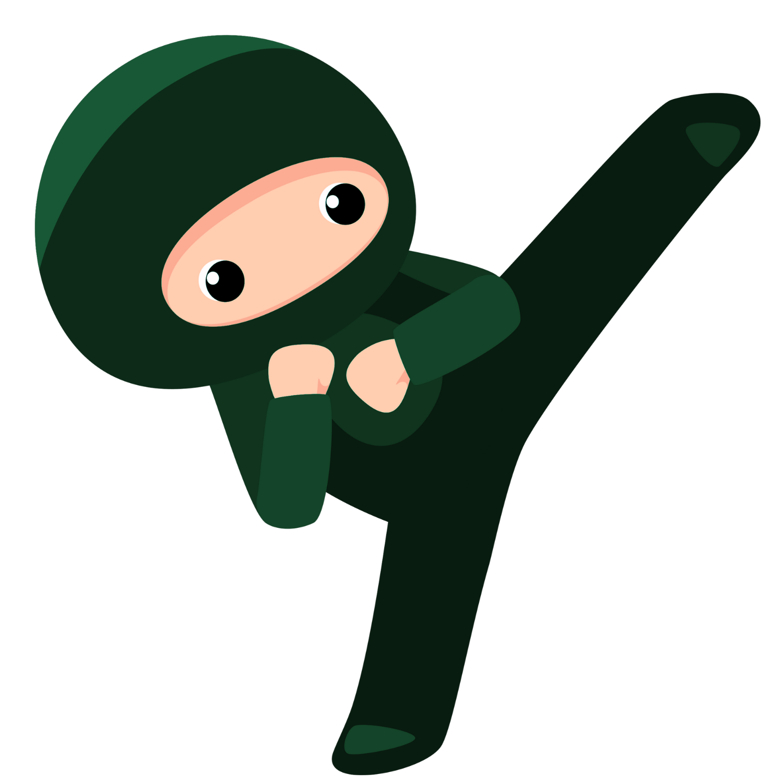ClassNinja Logo